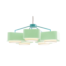 Load image into Gallery viewer, Carousel
